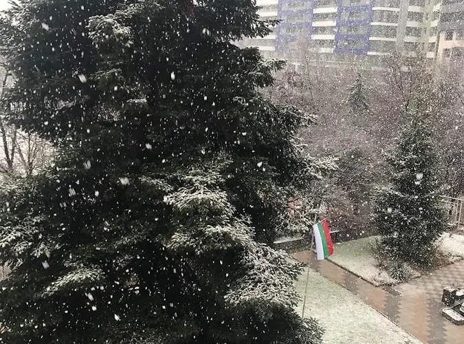 Diana 3 2* София